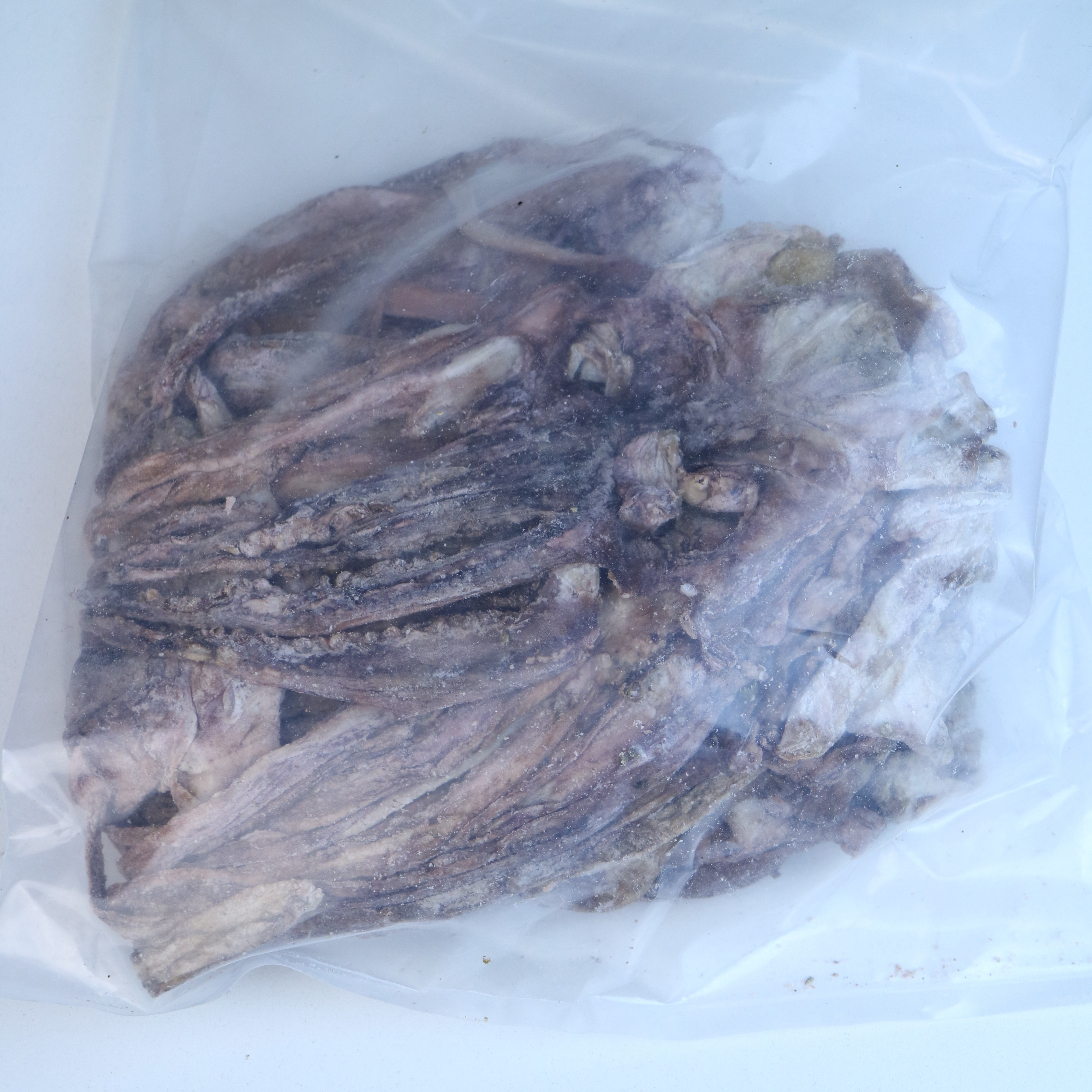 中章魚