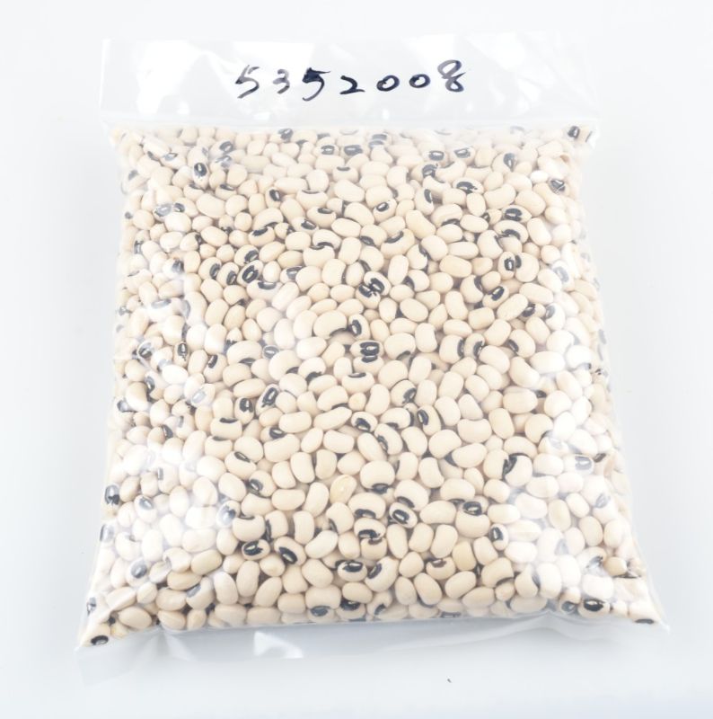 眉豆