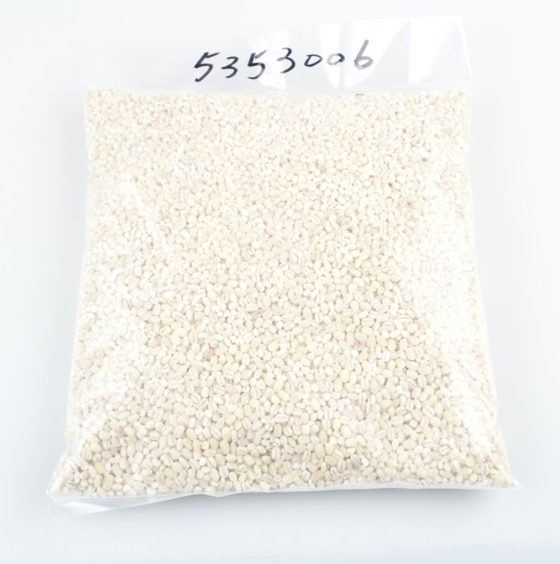 洋意米