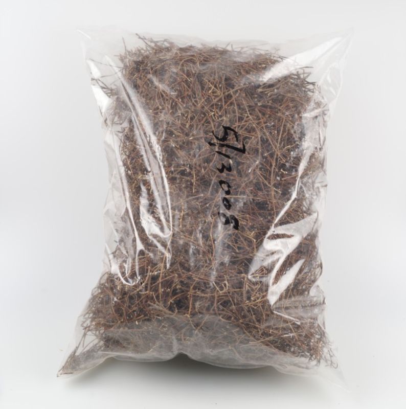 雞骨草