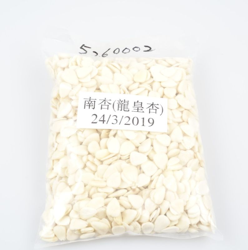 南杏(龍皇杏)
