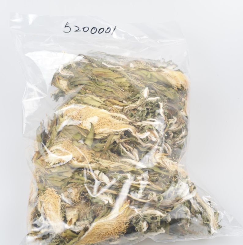 山晒劍花