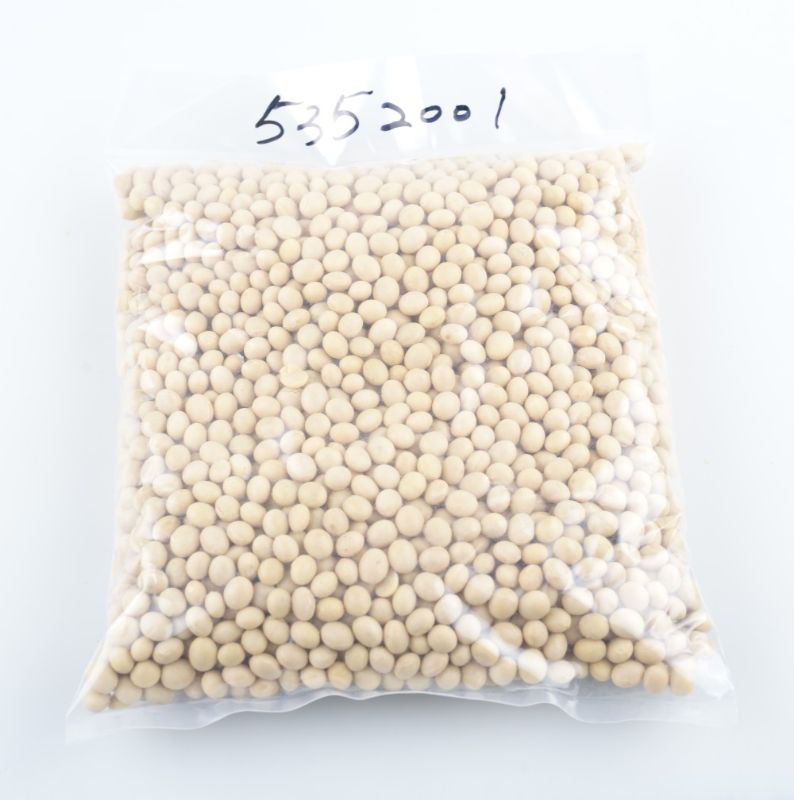 加拿大黃豆